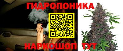 круглые Заводоуковск