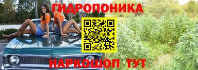 круглые Заводоуковск