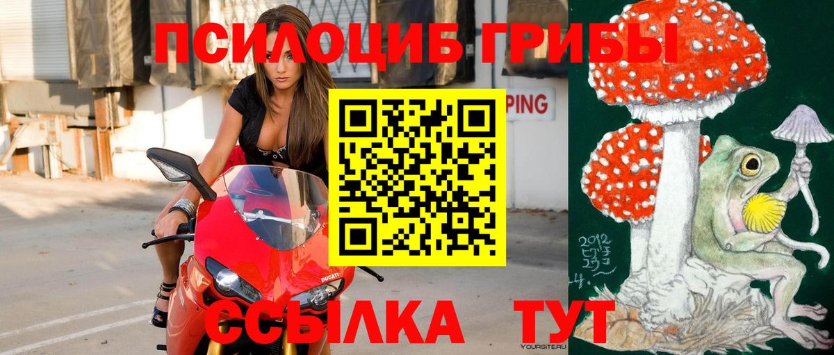 Псилоцибиновые грибы GOLDEN TEACHER Кызыл